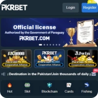 PKRBet Game Interface