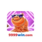 9999Win Game